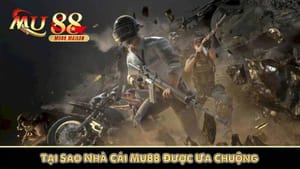 Processo de registro simplificado no bet7788